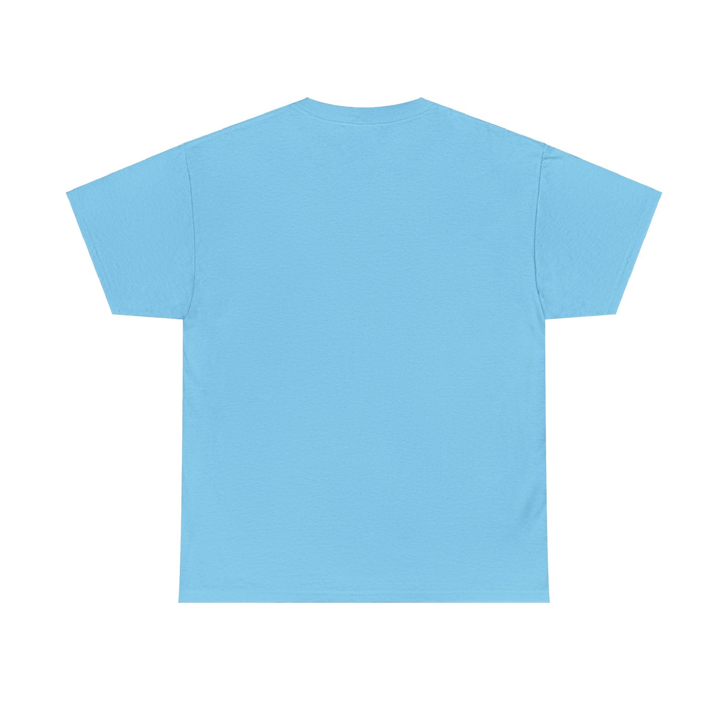 Hyacinth Unisex Heavy Cotton Tee with Hy6 Collective Logo